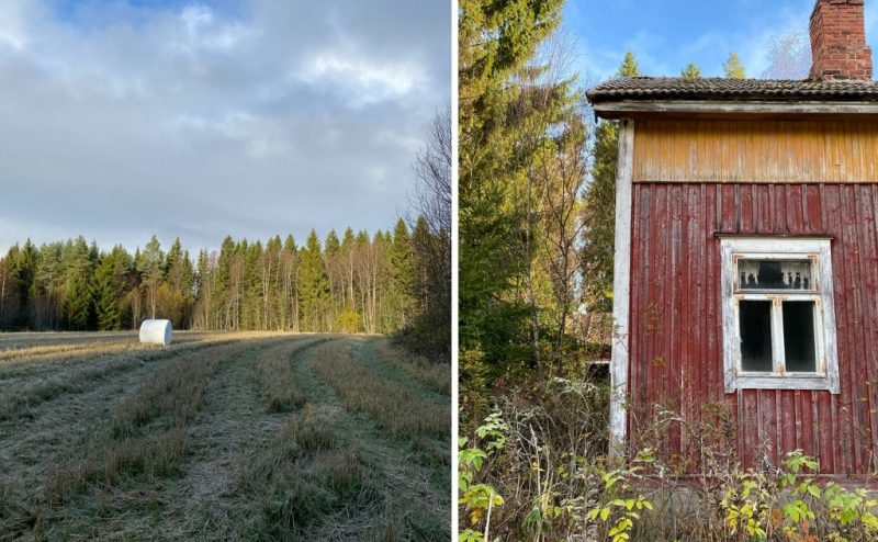 Två bilder, en föreställer en äng i tidig frost och den andra bilden föreställer ett gammalt hus.